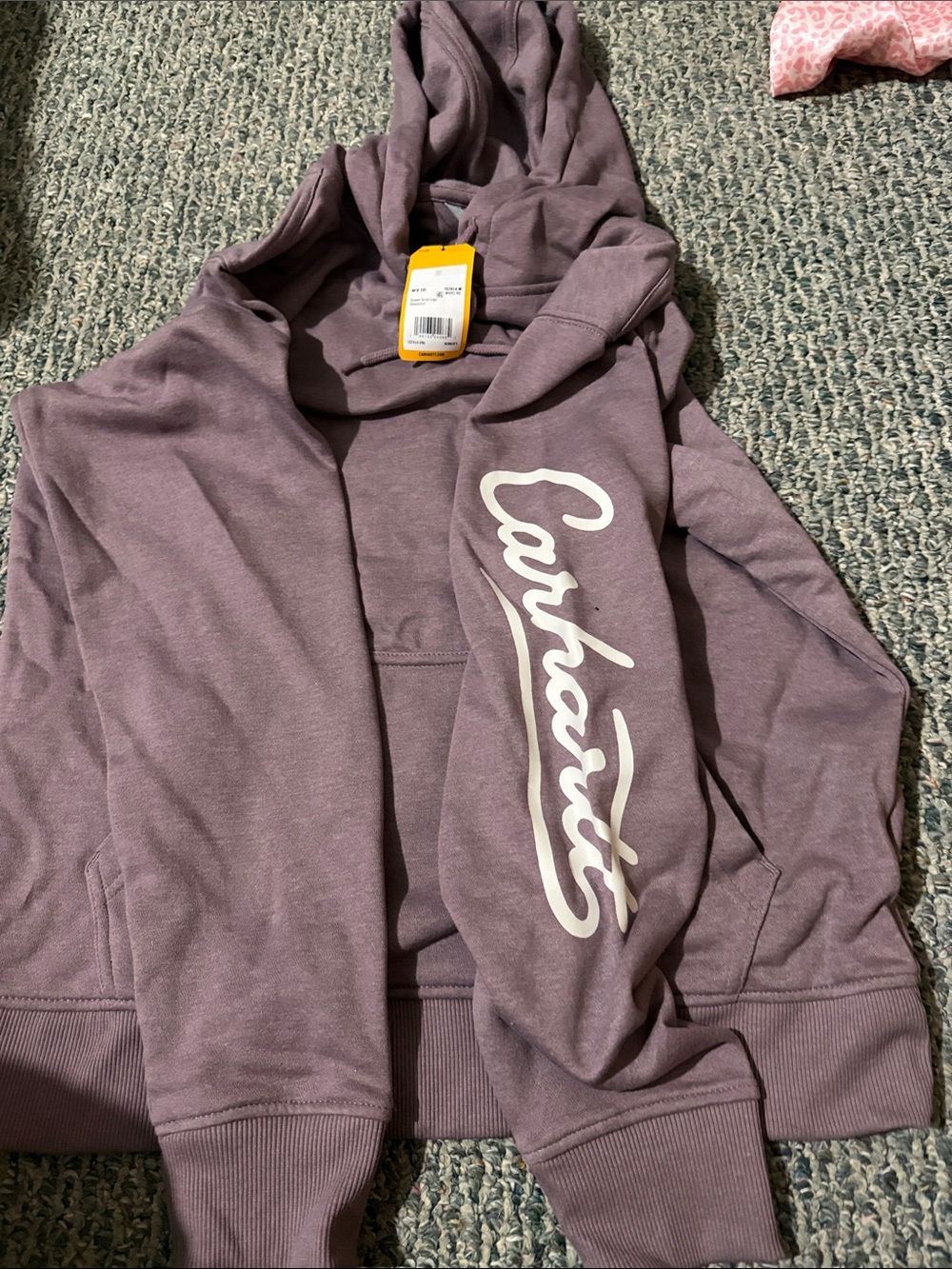Carhartt Mauve Script Logo Pullover Hoodie